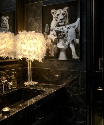 Einstaklega fallegur fjaðralampi