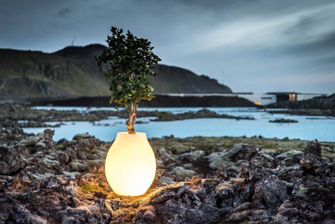 Bulb - Hvítur Uppseldur - Image 2