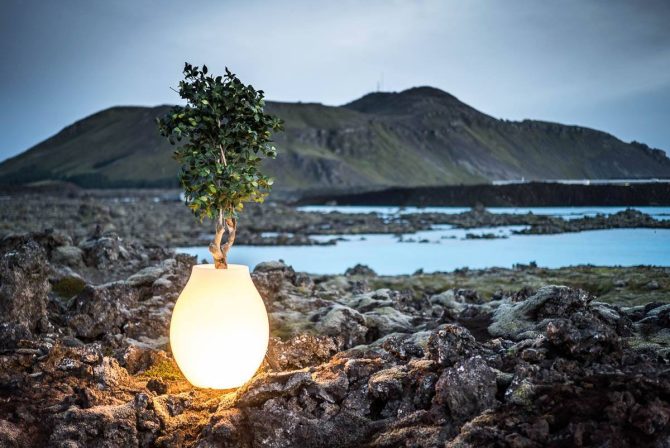 Bulb - Hvítur Uppseldur - Image 5