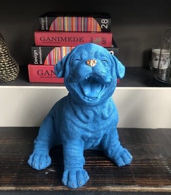 Blár hundur með gull smáatriðum