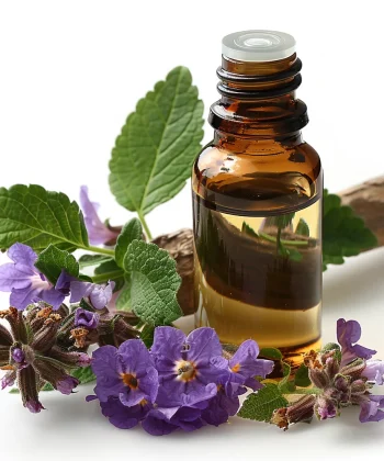 Patchouli