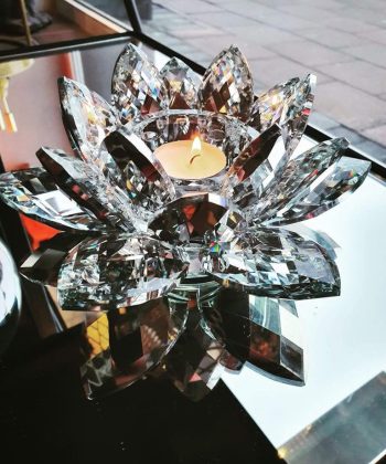 Lotus kertastjaki - 5 litir