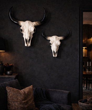 Hauskúpa á vegg - 2 stærðir